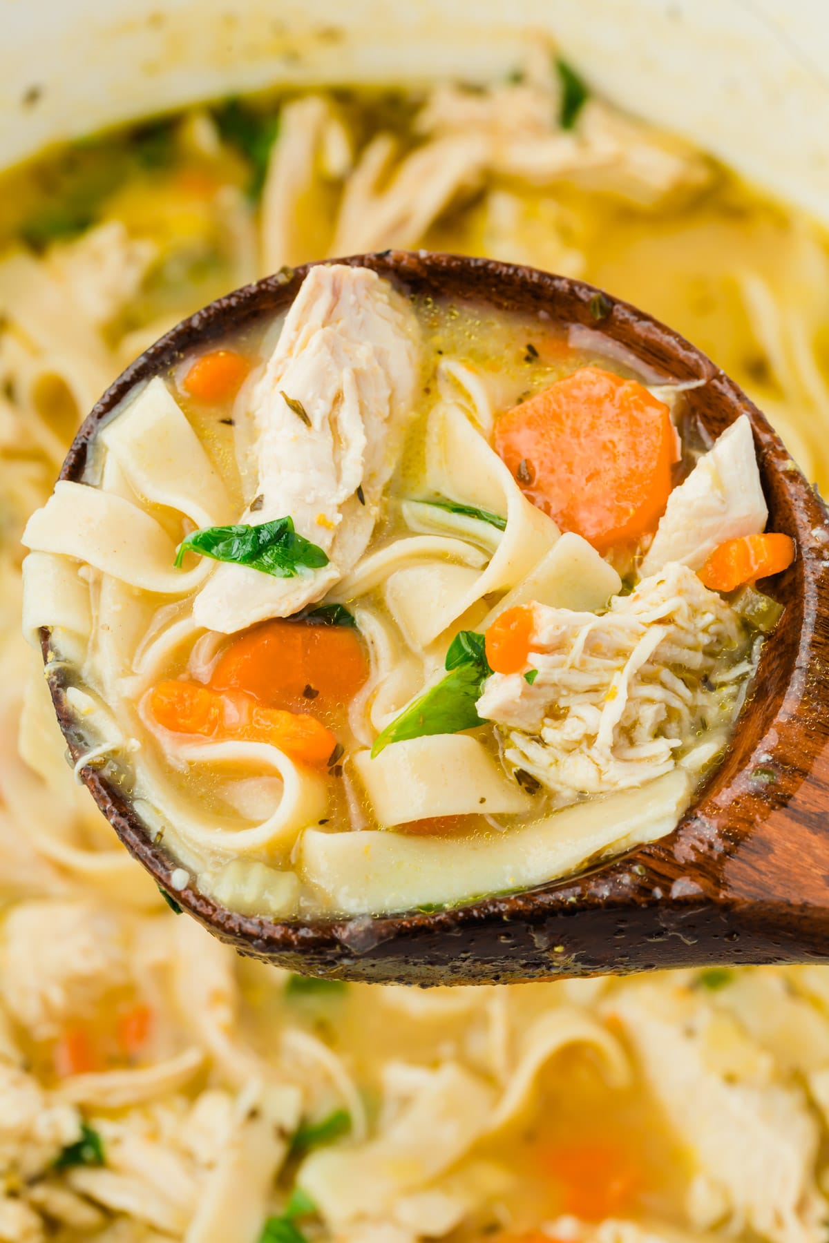 A spoonful of gluten-free chicken noodle soup.