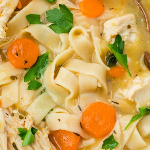 A close up of a bowl of gluten-free chicken noodle soup.