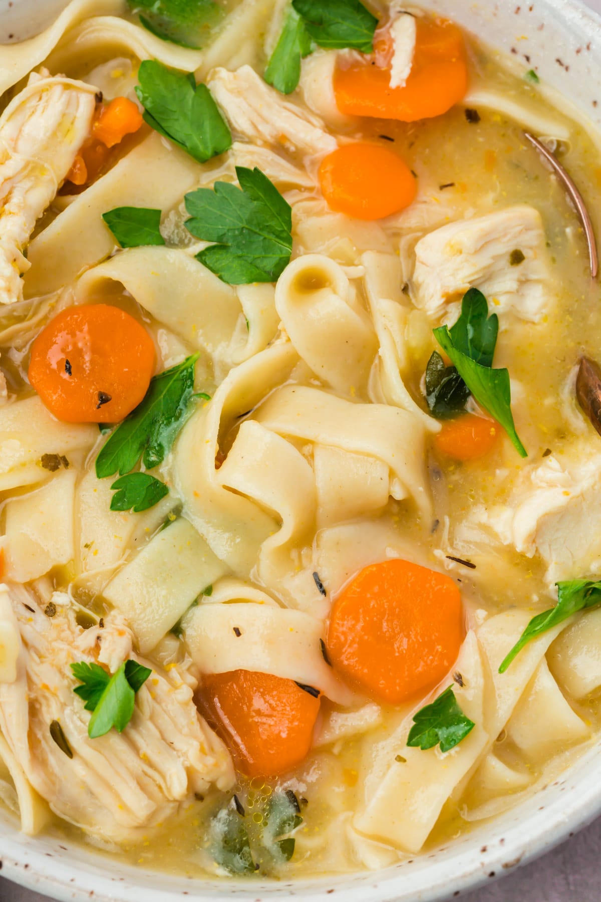 Gluten-Free Chicken Noodle Soup - A Dash of Megnut