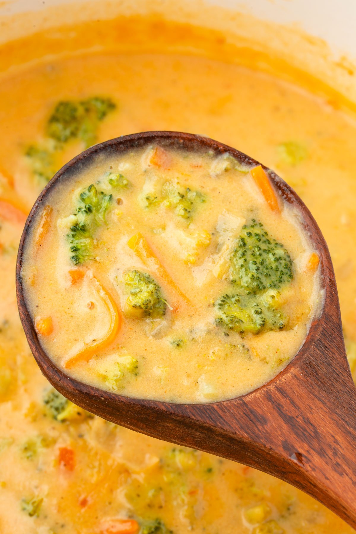 Close-up of a ladle lifting broccoli cheddar soup from the pot, with melted cheese, broccoli, and carrots in view.