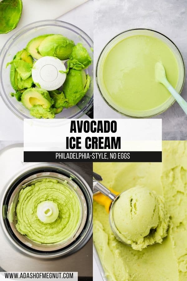 A four photo collage showing how to make avocado ice cream. First image: avocados in a food processor. 2nd image: avocado ice cream base in a bowl. 3rd image: ice cream churned in the ice cream maker. 4th image: a scooper scooping avocado ice cream from the container.