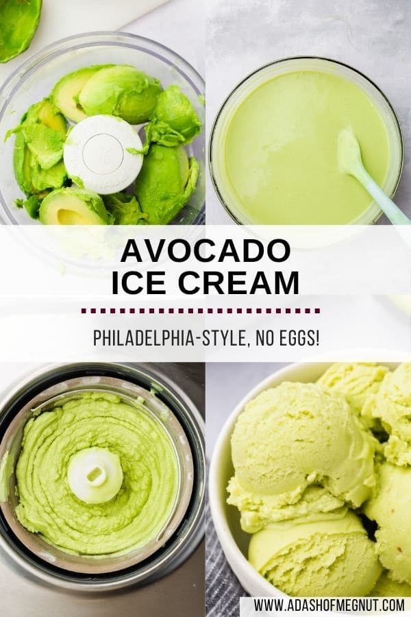 A 4 photo collage showing how to make avocado ice cream with a text overlay. 1st image: avocados in a food processor. 2nd image: avocado ice cream base in a glass bowl. 3rd image: avocado ice cream churned in an ice cream maker. 4th image: a bowl of scoops of avocado ice cream.