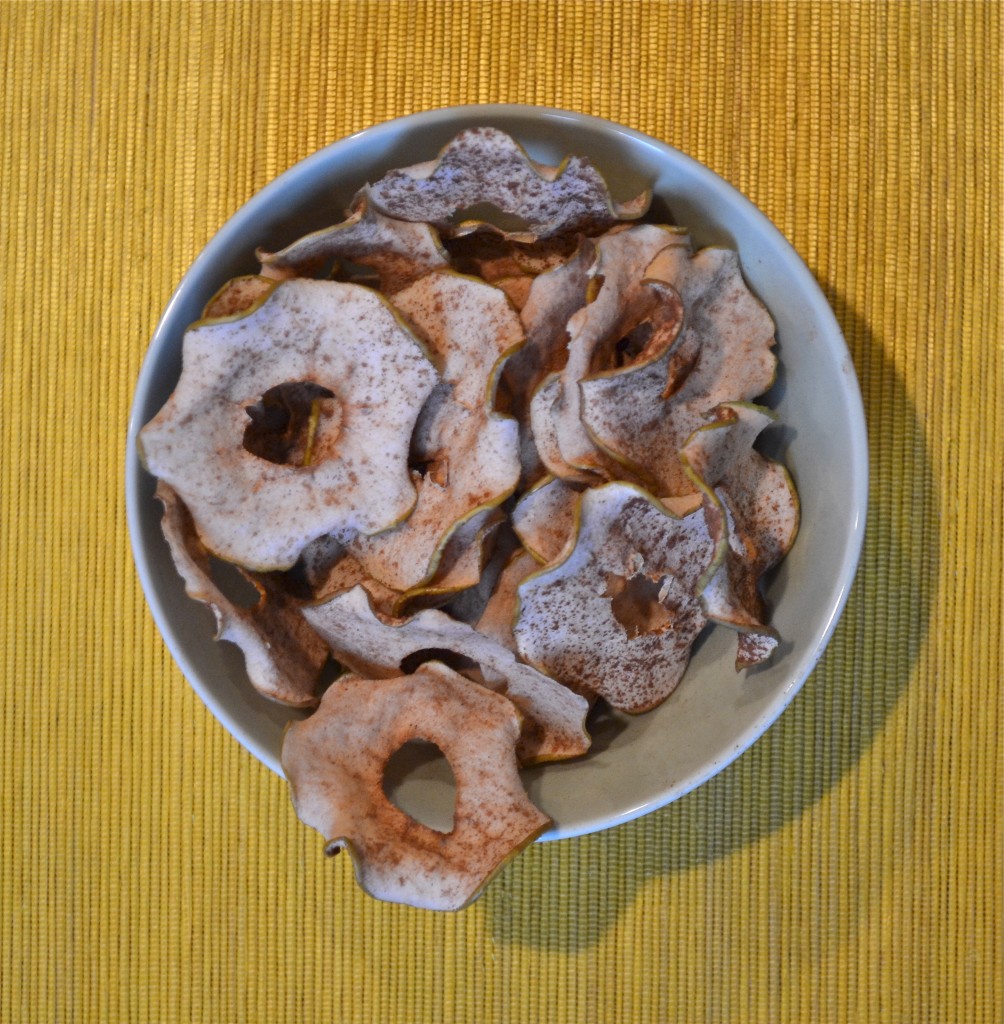 A bowl of baked apple chips sprinkled with ground cinnamon.