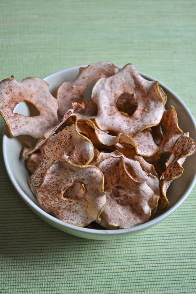Baked apple chips sprinkled with cinnamon in a bowl. 