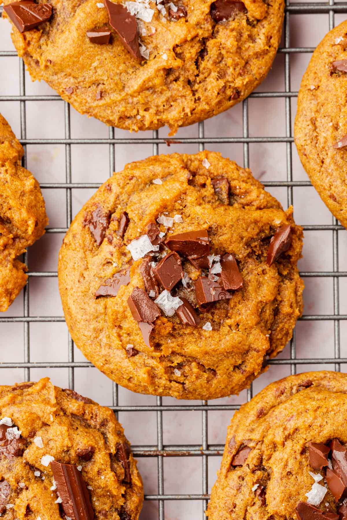 A closeup of gluten-free pumpkin chocolate chip cookies on a cooling rack.