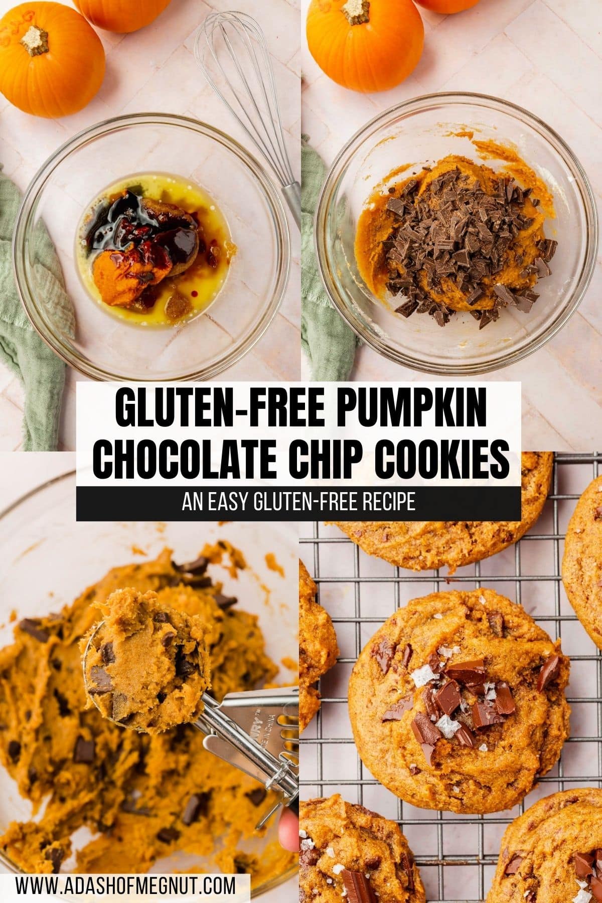 A four photo collage showing the process of making gluten-free pumpkin chocolate chip cookies. Photo 1: A mixing bowl with molasses, brown sugar, melted butter, pumpkin puree, and vanilla before mixing. Photo 2: A mixing bowl with gluten-free pumpkin cookie dough topped with chopped chocolate. Photo 3: A portion scoop filled with gluten-free pumpkin chocolate chunk cookie dough over a bowl of more dough. Photo 4: A closeup of gluten-free pumpkin chocolate chip cookies on top of a cooling rack.