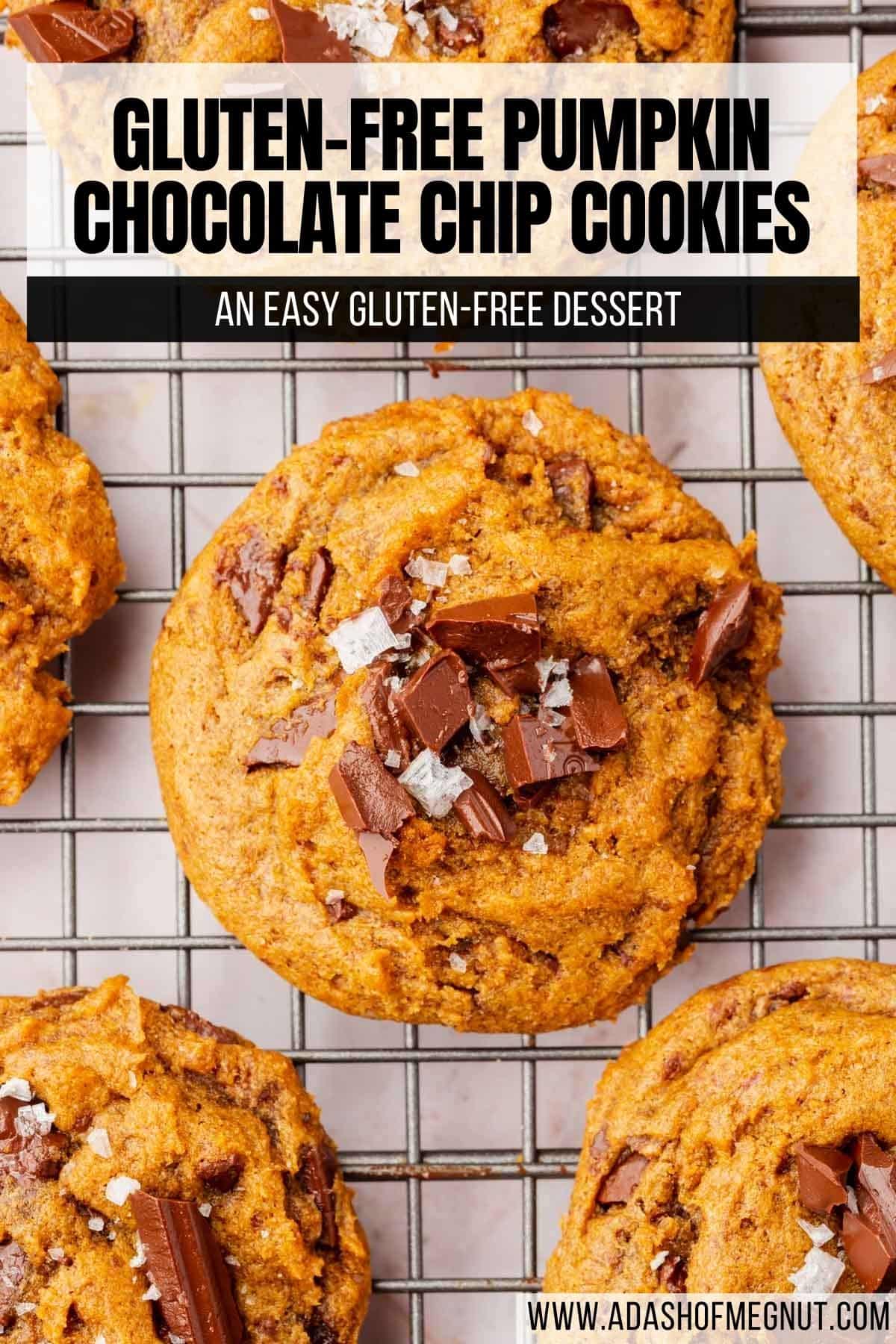 A closeup of gluten-free pumpkin chocolate chip cookies on a cooling rack with a text overlay.