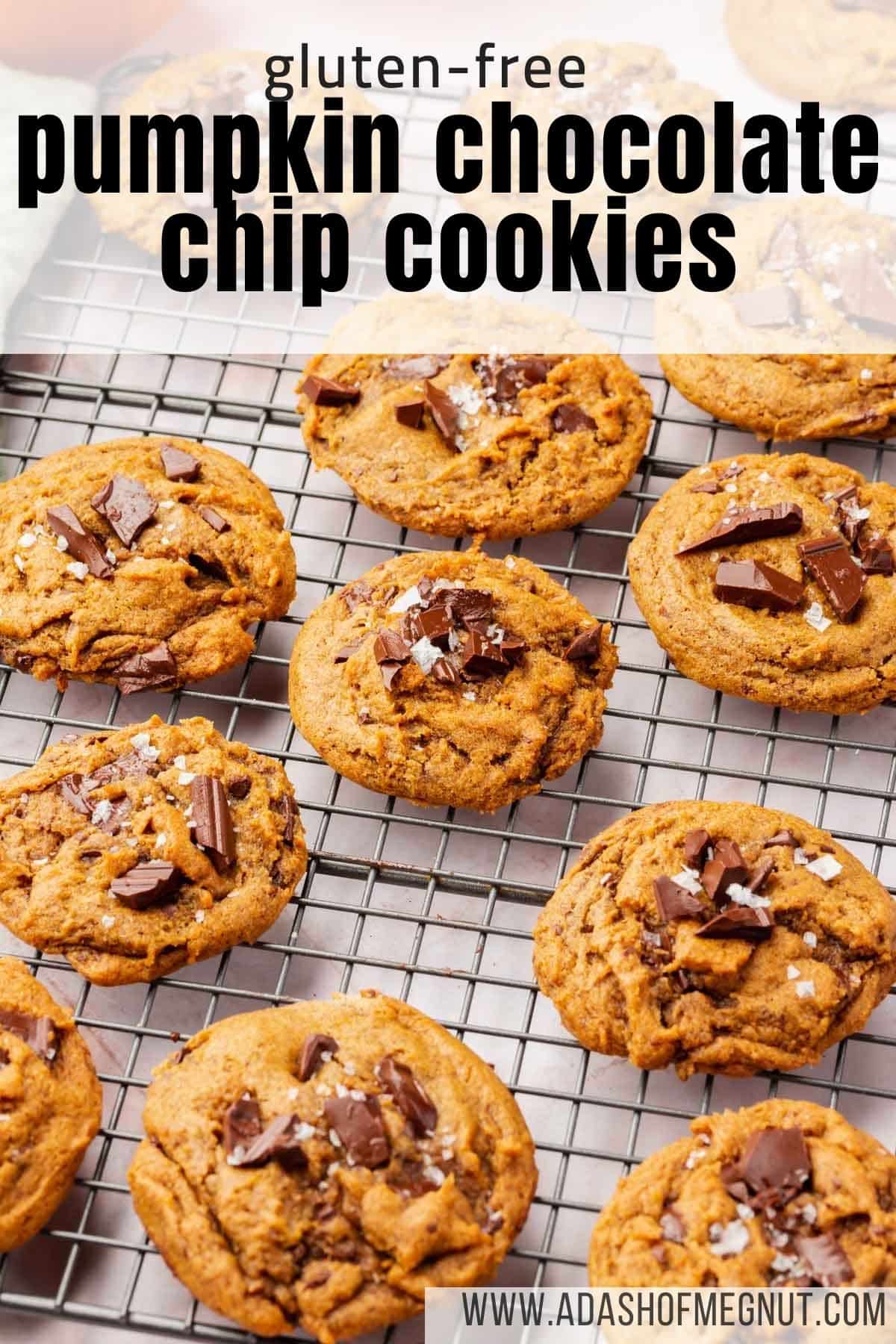 A cooling rack filled with gluten-free pumpkin chocolate chip cookies on it with a text overlay.
