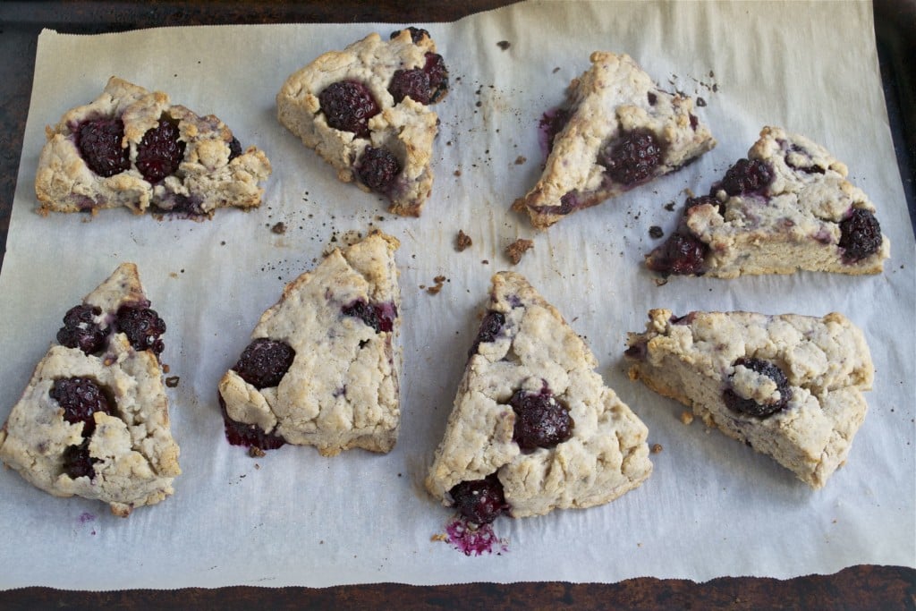 Blackberry scones on a baking sheet lined with parchment paper.