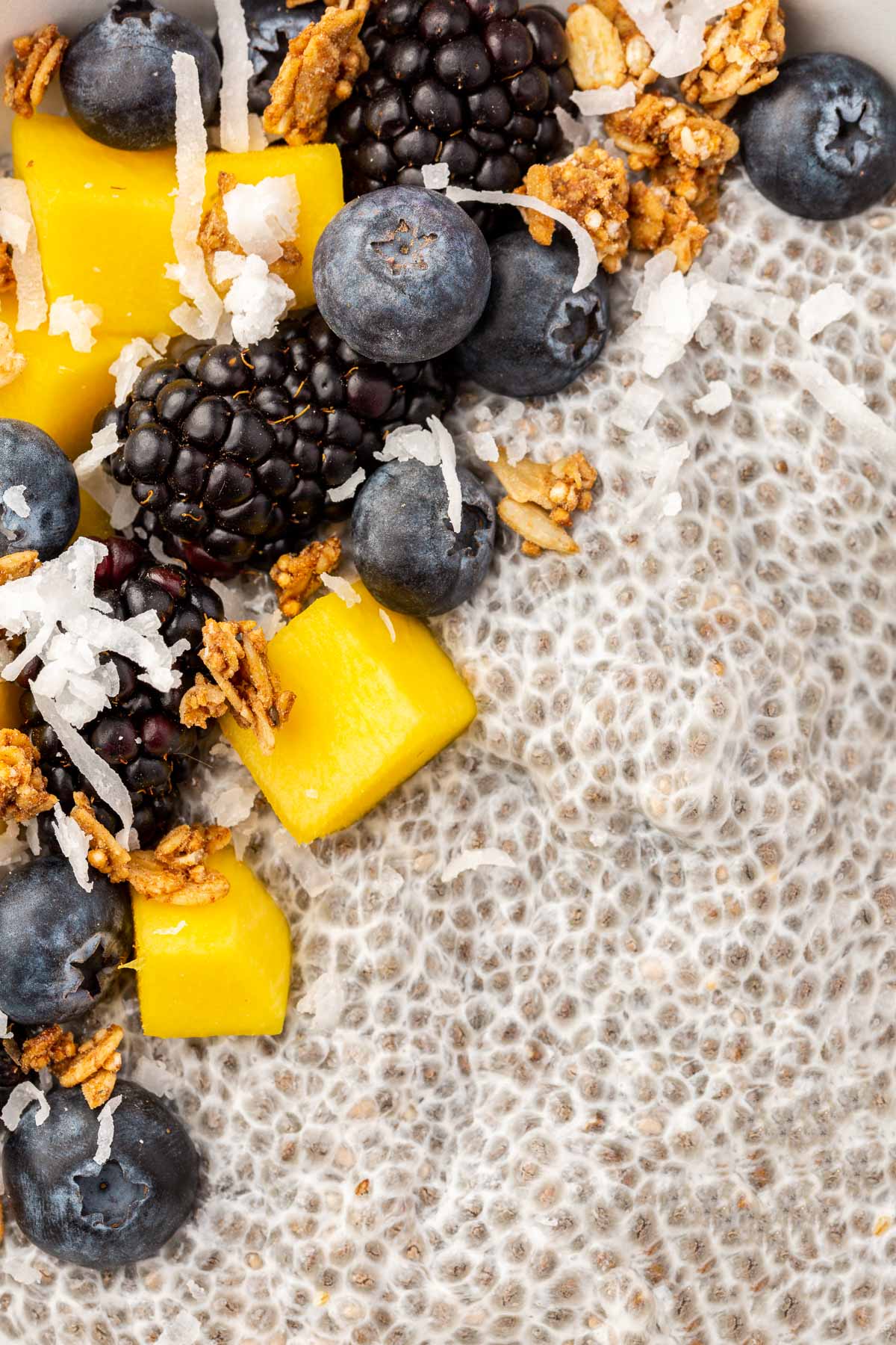 A close up of chia pudding topped with blueberries, blackberries, mango, coconut flakes, and granola.