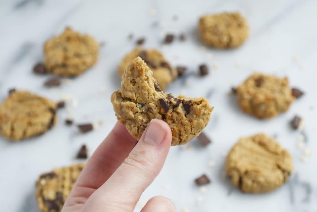 A hand holding a small peanut butter chocolate chunk cookie. 