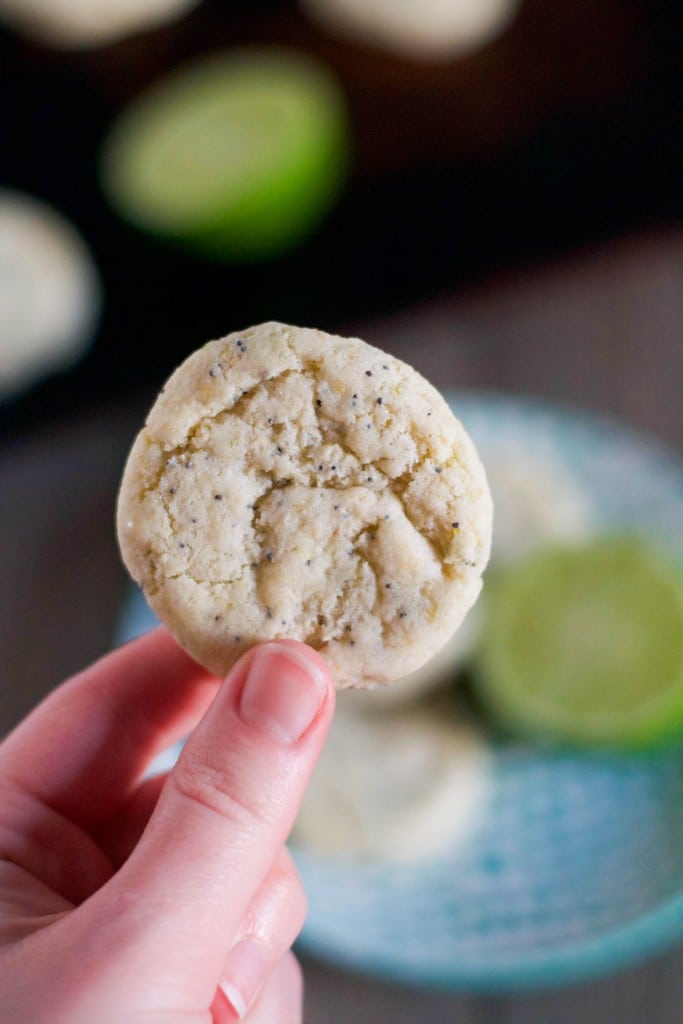 A hand holding a Gluten-Free Vegan Lime Poppyseed Cookie.