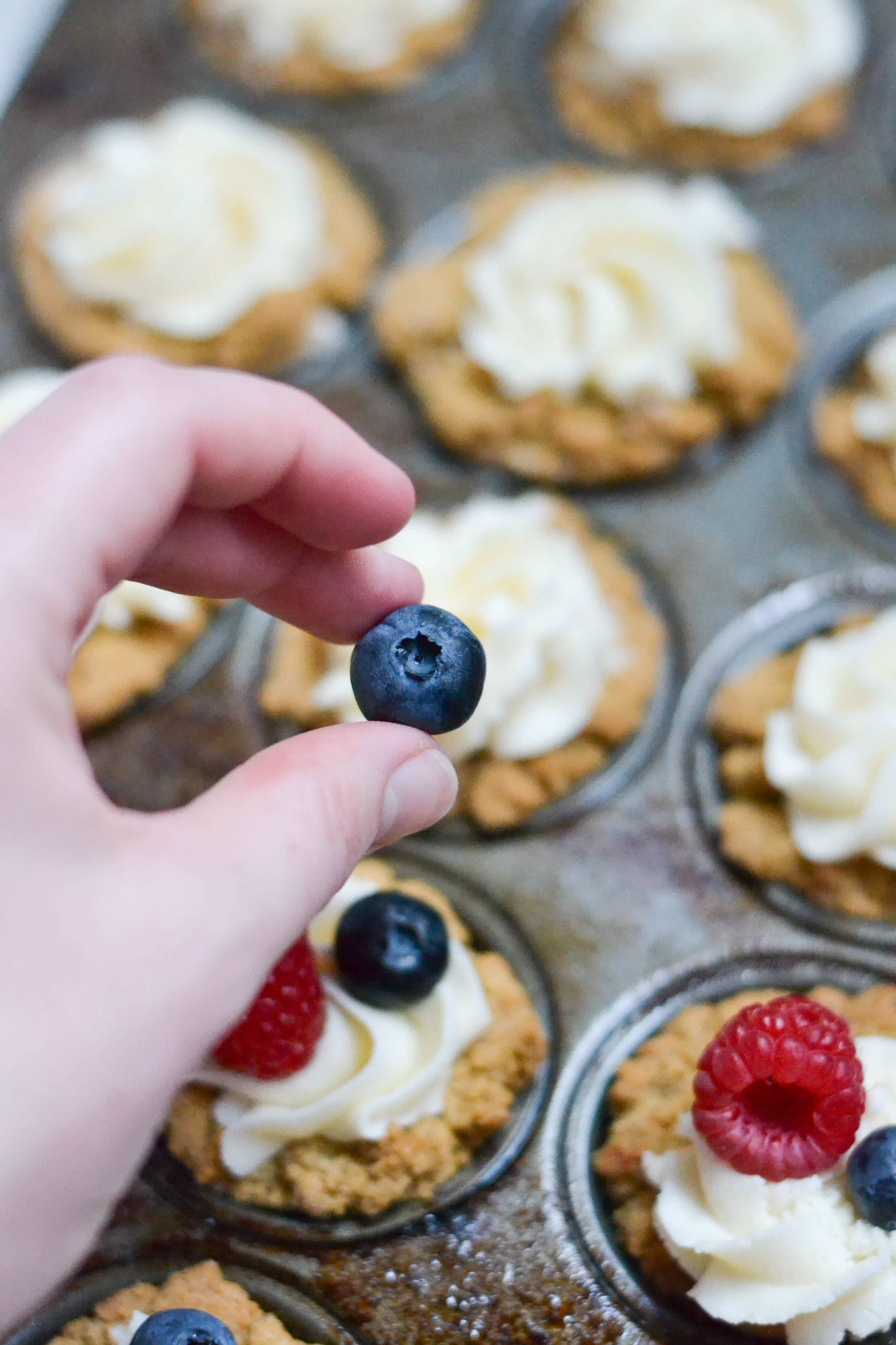 A hand placing a blueberry on top of mini cookie cups with buttercream. 