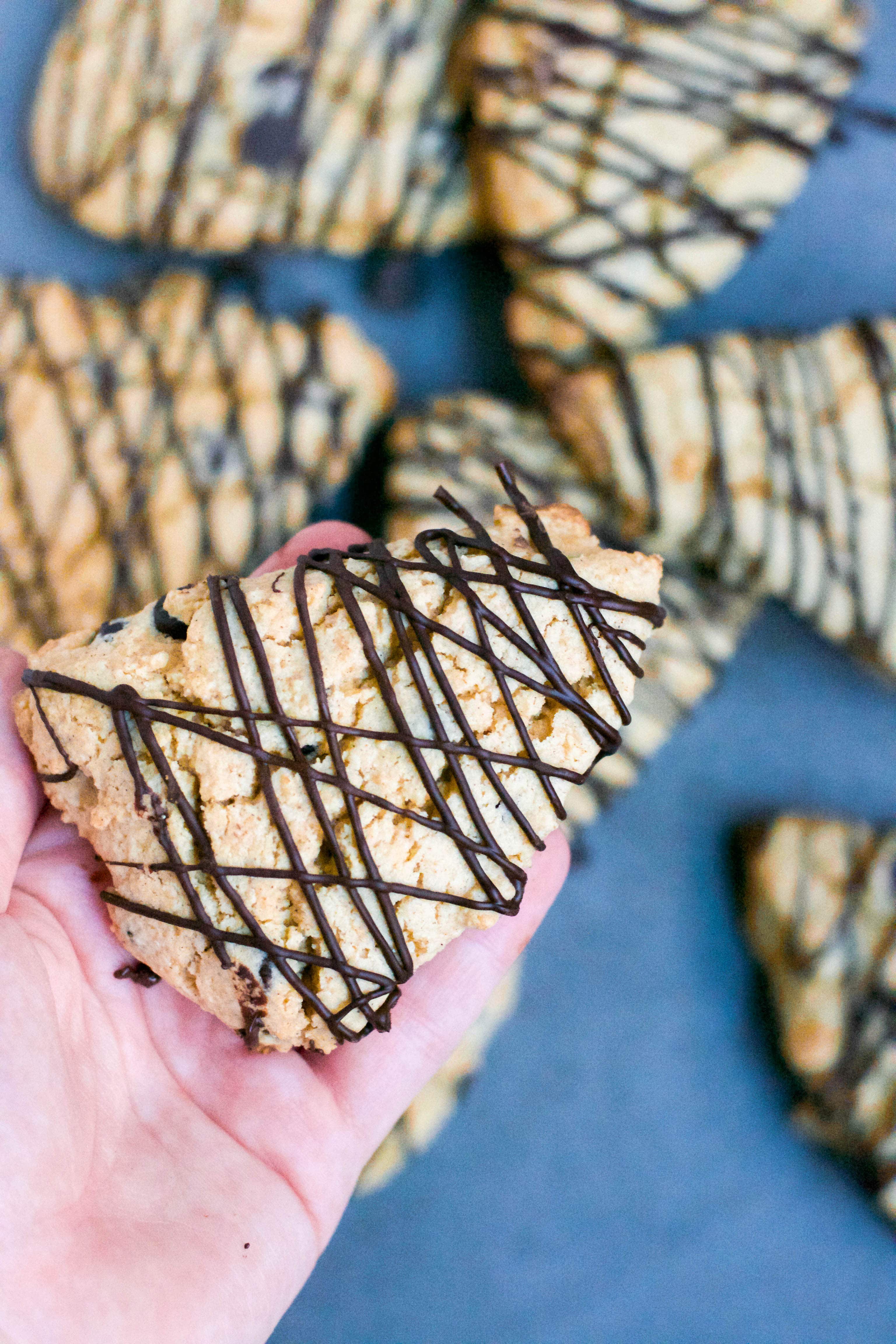 A hand holding a chocolate chip scone with chocolate drizzle. 