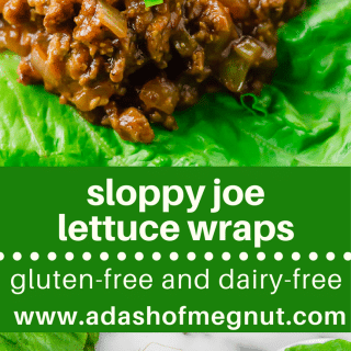 Sloppy Joe Lettuce Wraps (GF, DF) - A Dash of Megnut