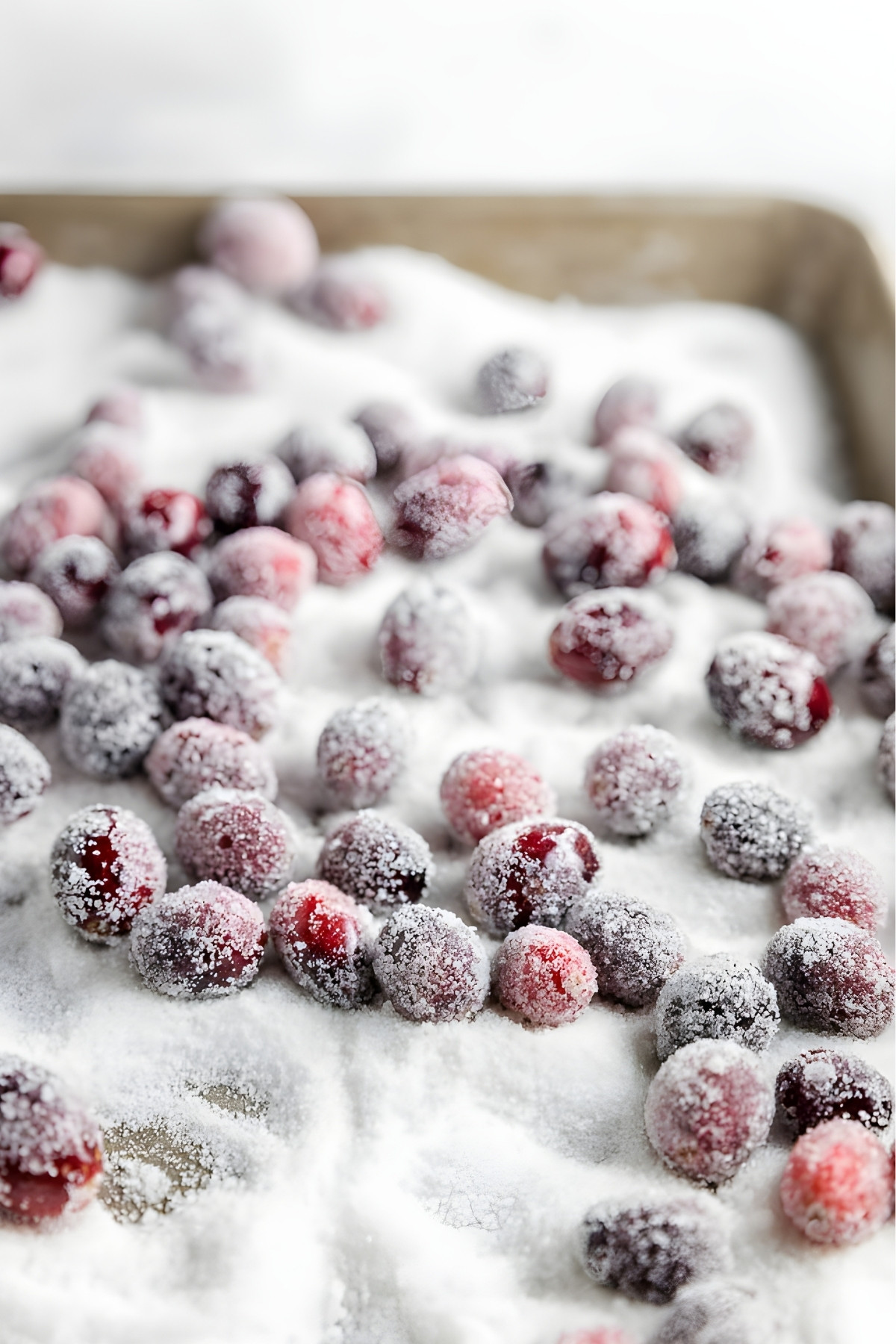 Sugared cranberries on a sheet pan with a layer of granulated sugar under them.