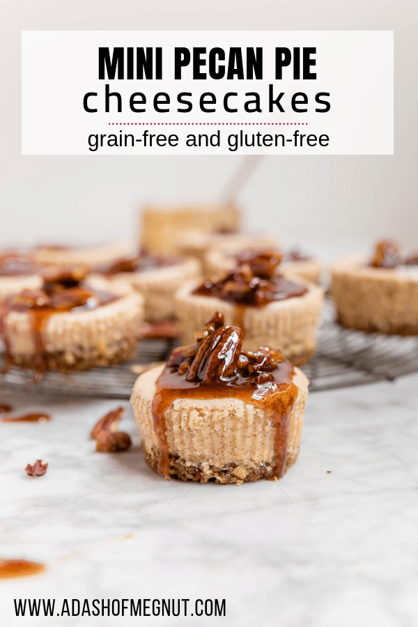 Easy Mini Pecan Pie Cheesecakes - with a Grain-free Pecan Crust