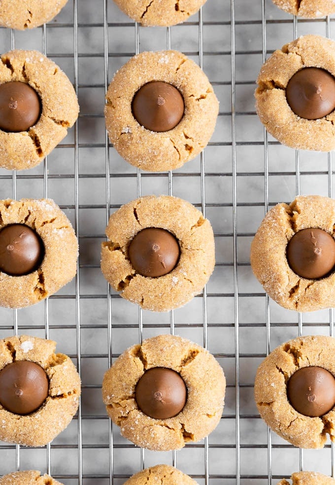 rows of chocolate peanut butter blossoms on a cooling rack