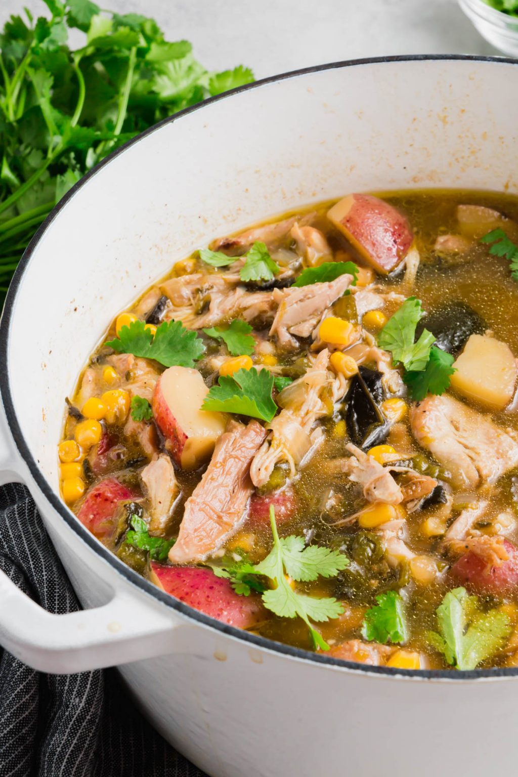 Roasted Chicken Poblano Soup A Dash of Megnut