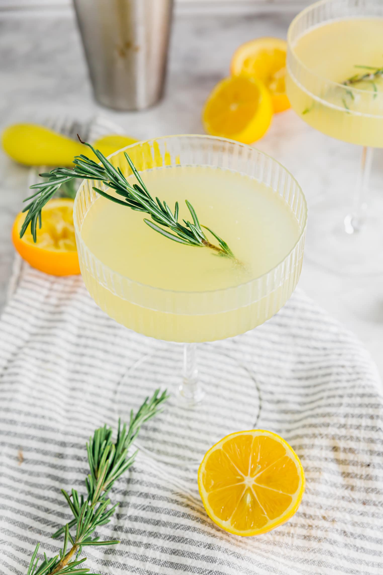 A coupe glass filled with meyer lemon rosemary gin cocktail with a fresh sprig of rosemary and sliced meyer lemons around the glass. 