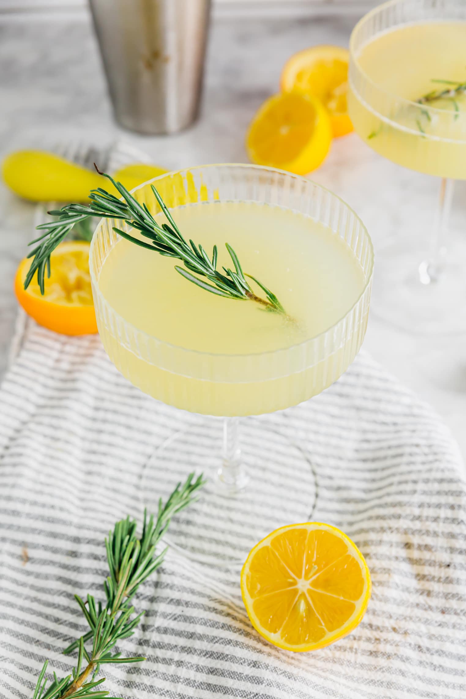 A coupe glass filled with meyer lemon rosemary gin cocktail with a fresh sprig of rosemary and sliced meyer lemons around the glass.