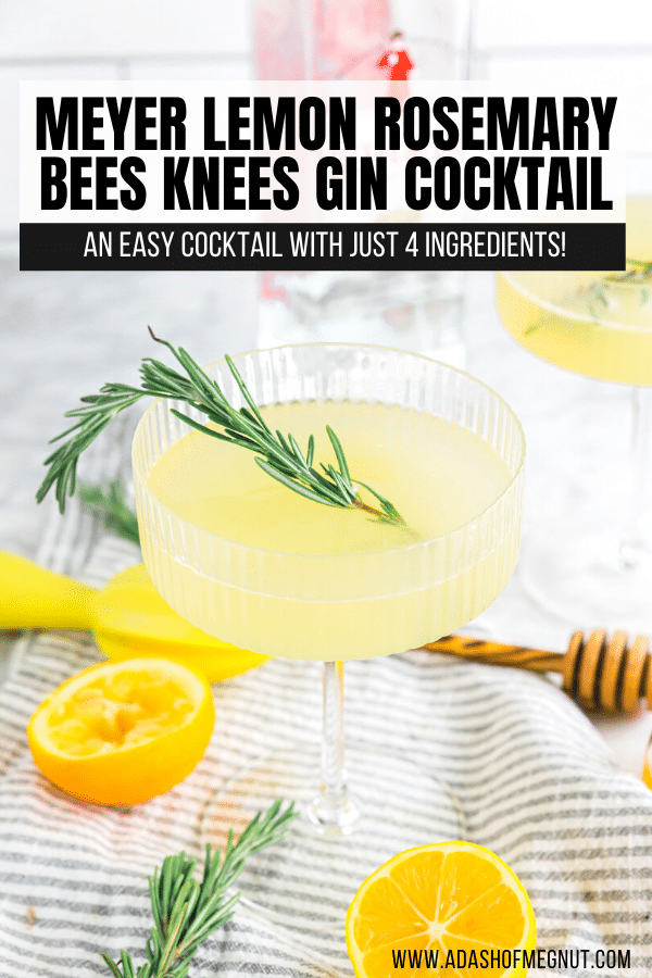 A photo of a meyer lemon bees knees cocktail with rosemary. 