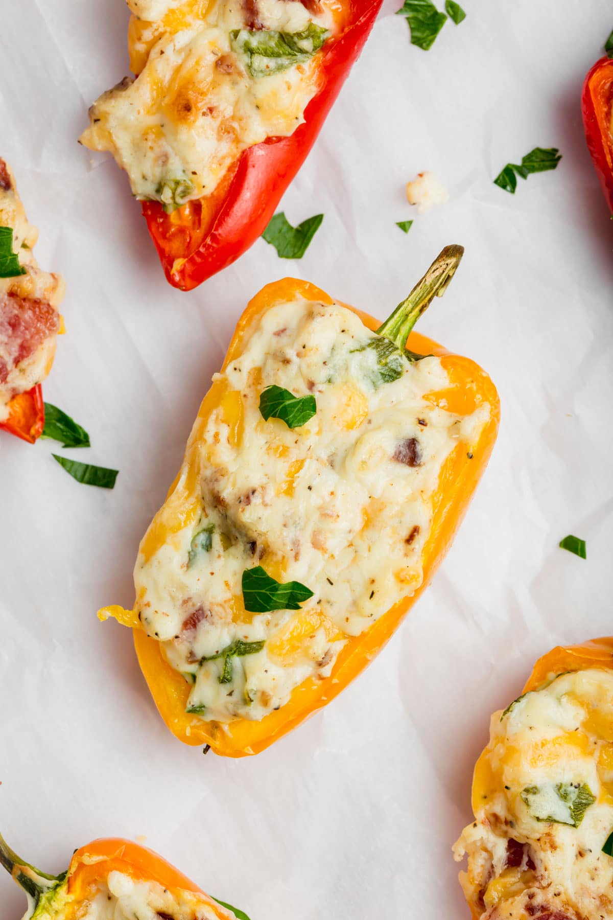 An overhead photo of several yellow and red mini peppers stuffed with a cheddar bacon cream cheese mixture and topped with fresh parsley.