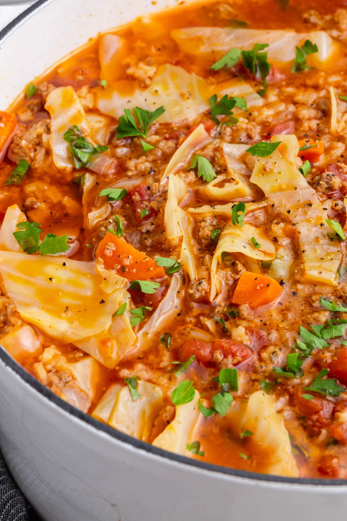 A bowl of cabbage roll soup.