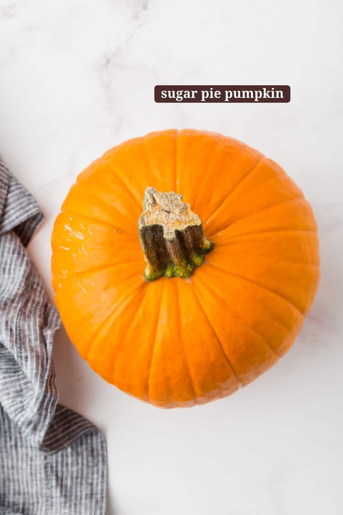 Ingredients for making pumpkin puree.