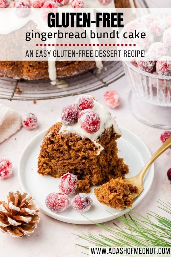 Gluten-Free Gingerbread Bundt Cake - A Dash of Megnut