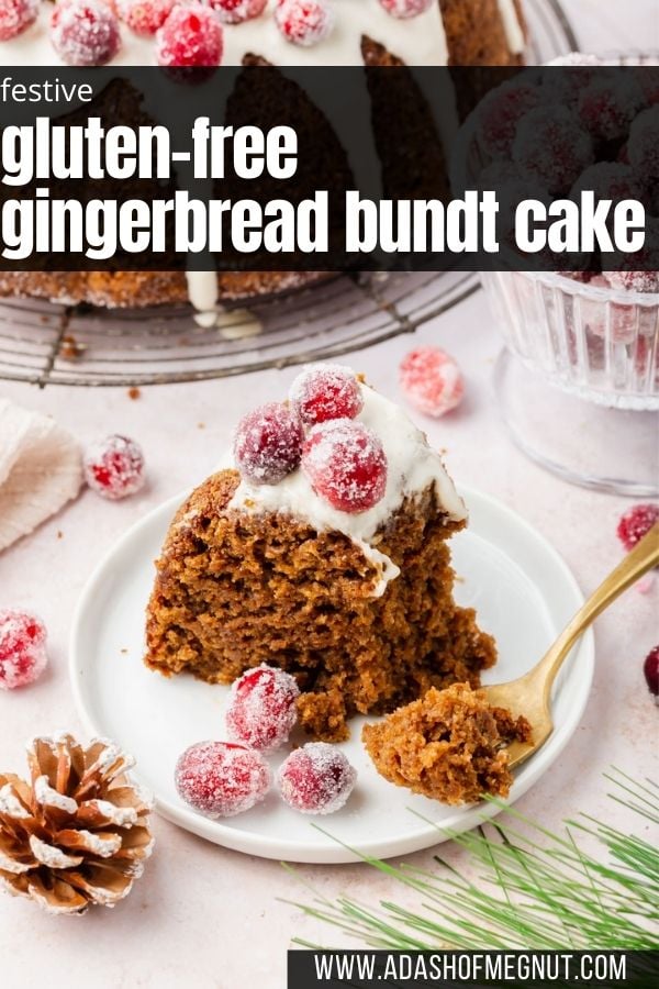 Gluten-Free Gingerbread House Recipe (Bundt Cake) 