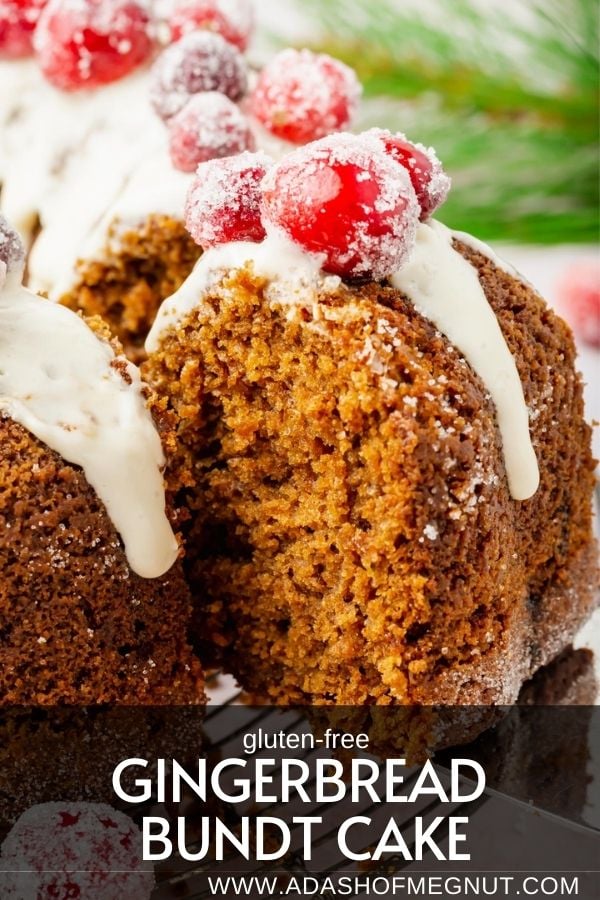 Gluten-Free Gingerbread Bundt Cake - A Dash of Megnut