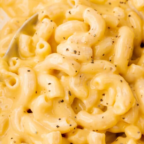 A close up shot of gluten-free mac and cheese.