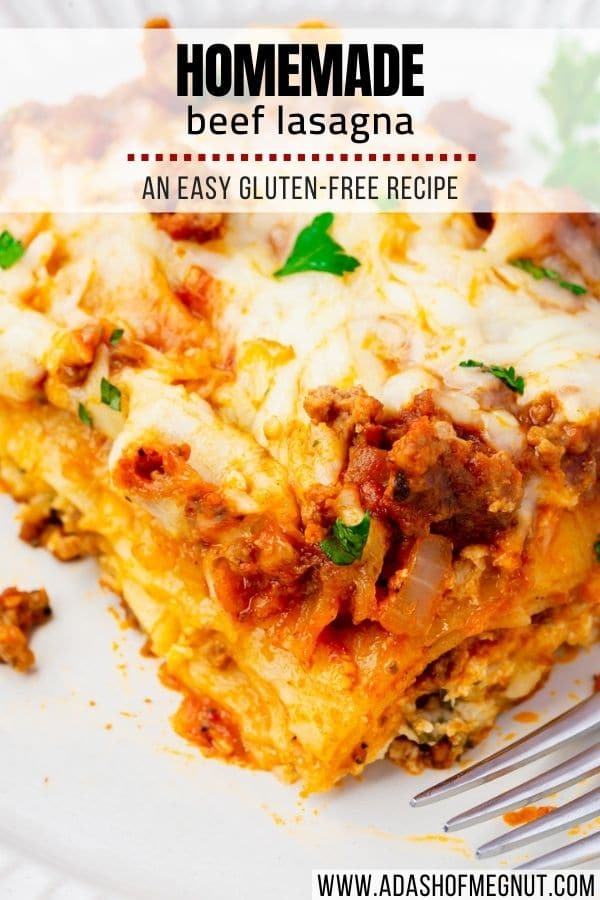 Super EASY Gluten-Free Lasagna - A Dash of Megnut