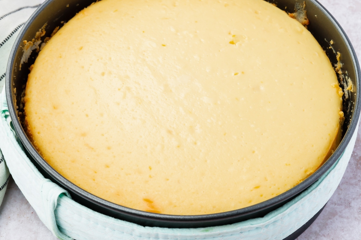 A freshly baked, golden brown gluten free cheesecake in a round, black springform pan, with a light green kitchen towel wrapped around the pan for handling. The surface of the cheesecake is smooth and slightly puffy.