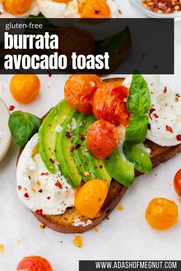 A slice of avocado toast with burrata and roasted tomatoes on top.