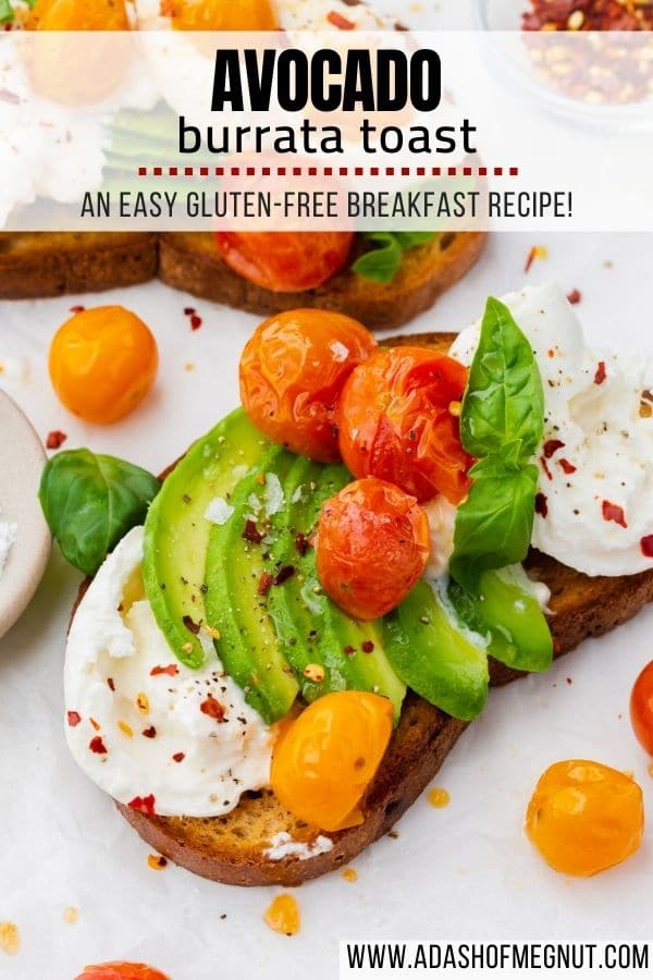 Two slices of gluten-free burrata avocado toast with roasted tomatoes on top.