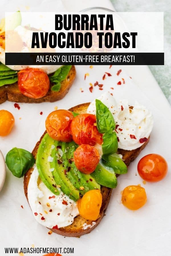 A photo of a slice of avocado burrata toast with tomatoes.