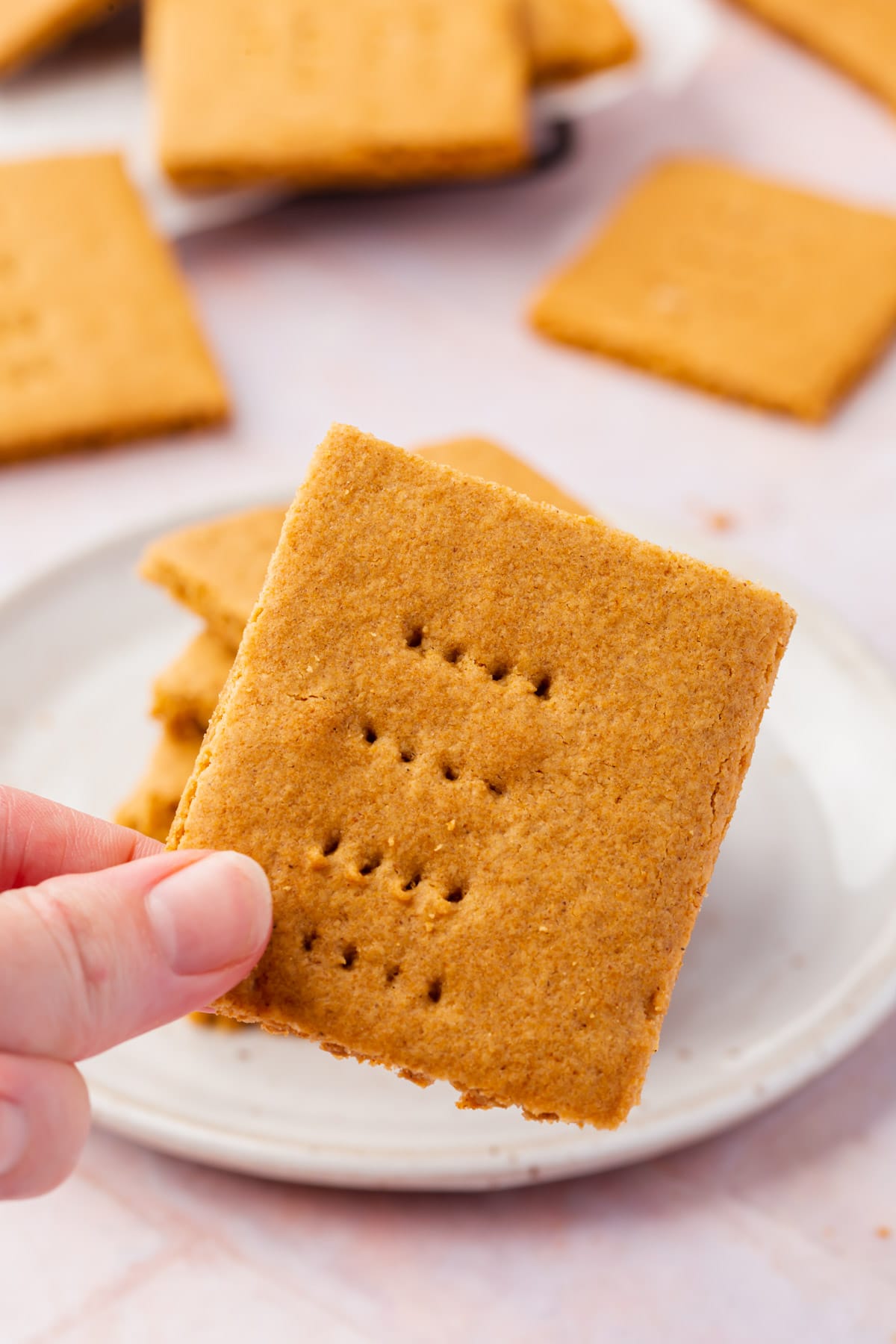 A hand holding a gluten-free graham cracker square.
