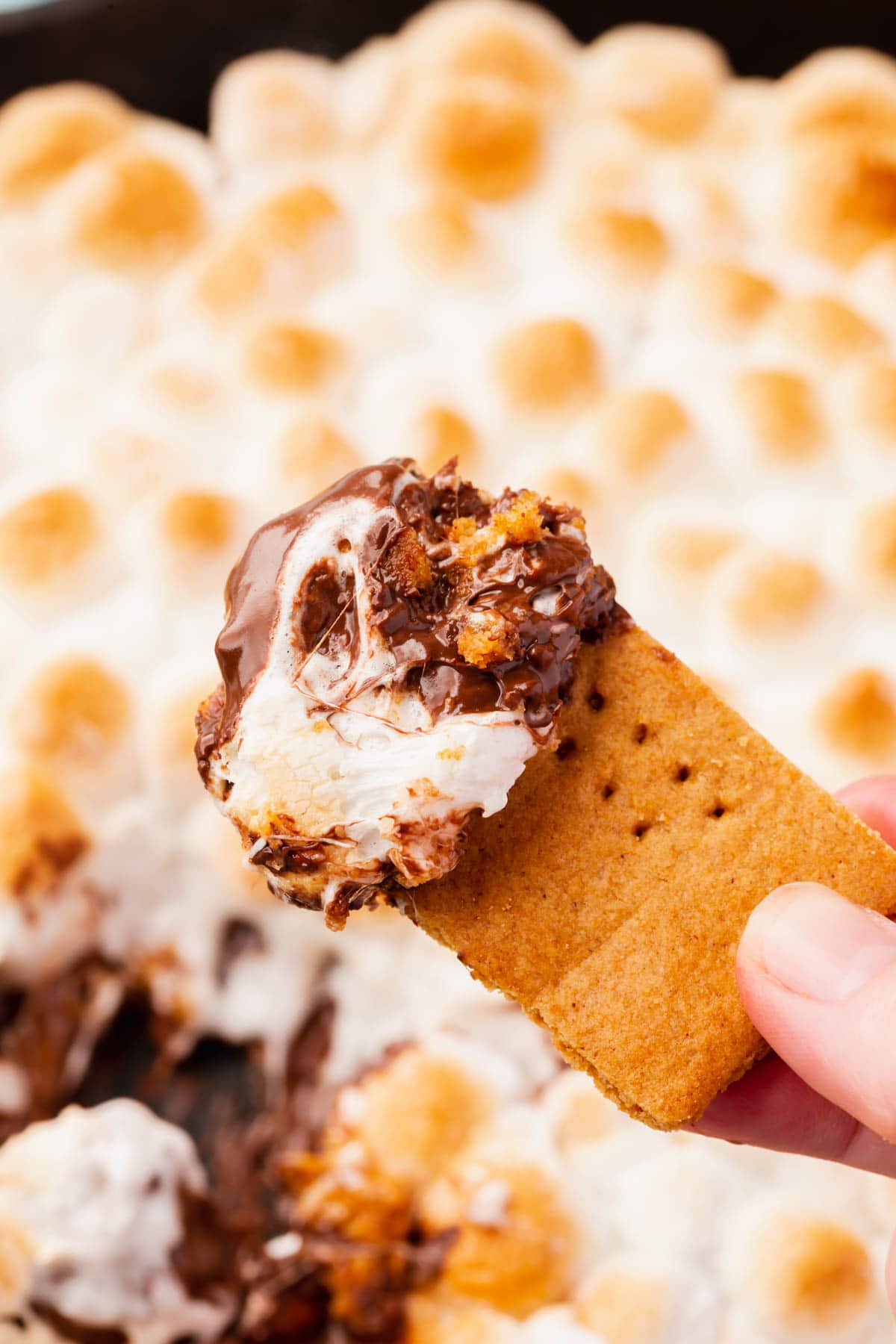 A hand holding a graham cracker dipped in s'mores dip over the s'mores dip with toasted marshmallows.