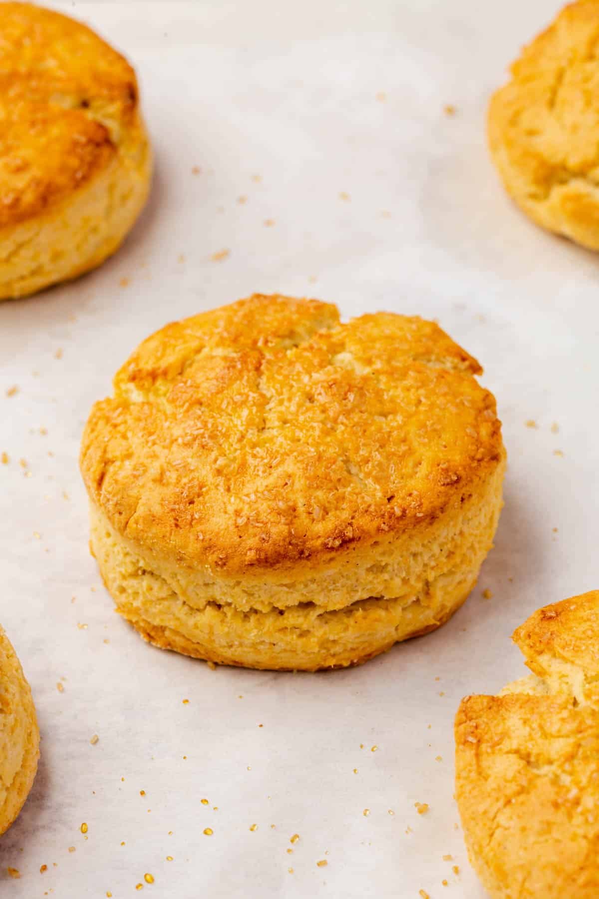 A closeup of a gluten-free biscuit on top of parchment paper with biscuits equally spaced out around it.
