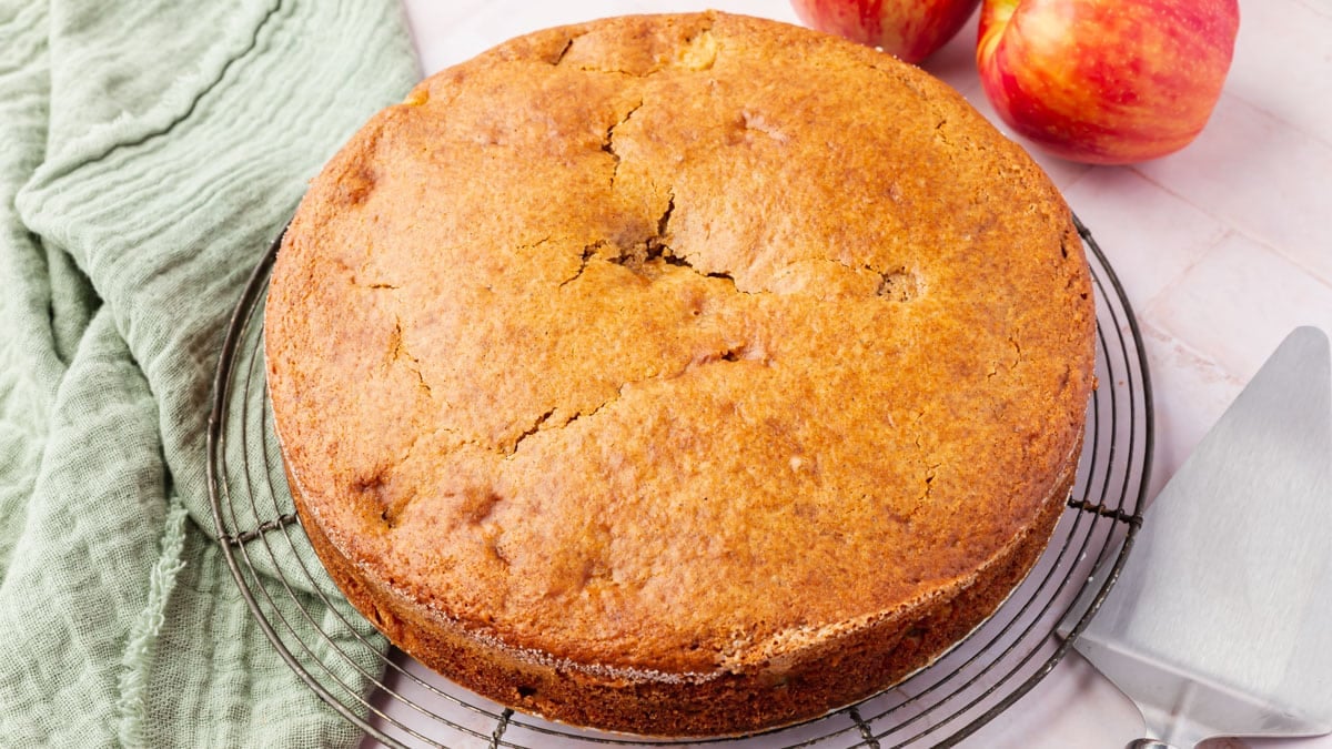 Gluten-Free Apple Cake - A Dash of Megnut