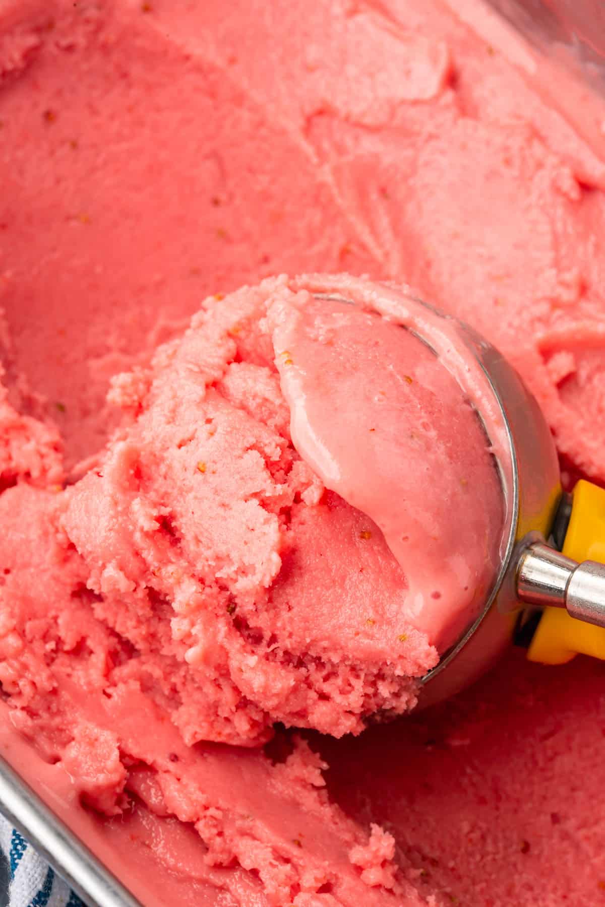 A closeup of a scooper scooping strawberry frozen yogurt from a tub.