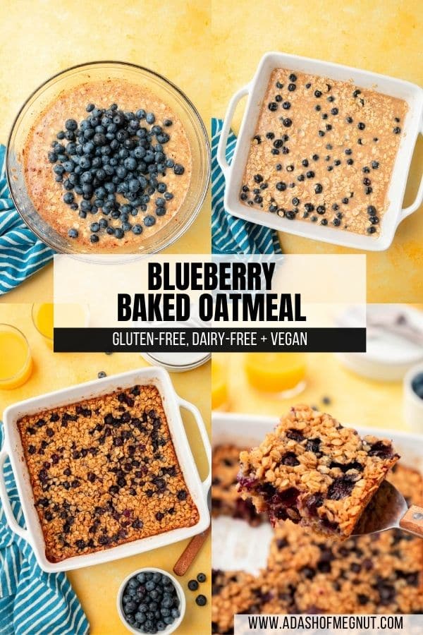 A four photo collage showing the process of making gluten-free baked blueberry oatmeal. Photo 1: Almond milk and oats in a large bowl topped with blueberries before mixing together. Photo 2: A square baking dish with blueberry baked oatmeal mixture before baking. Photo 3: A square baking dish with gluten-free blueberry baked oatmeal in it. Photo 4: A metal spatula removing a square of blueberry baked oatmeal from the baking dish.