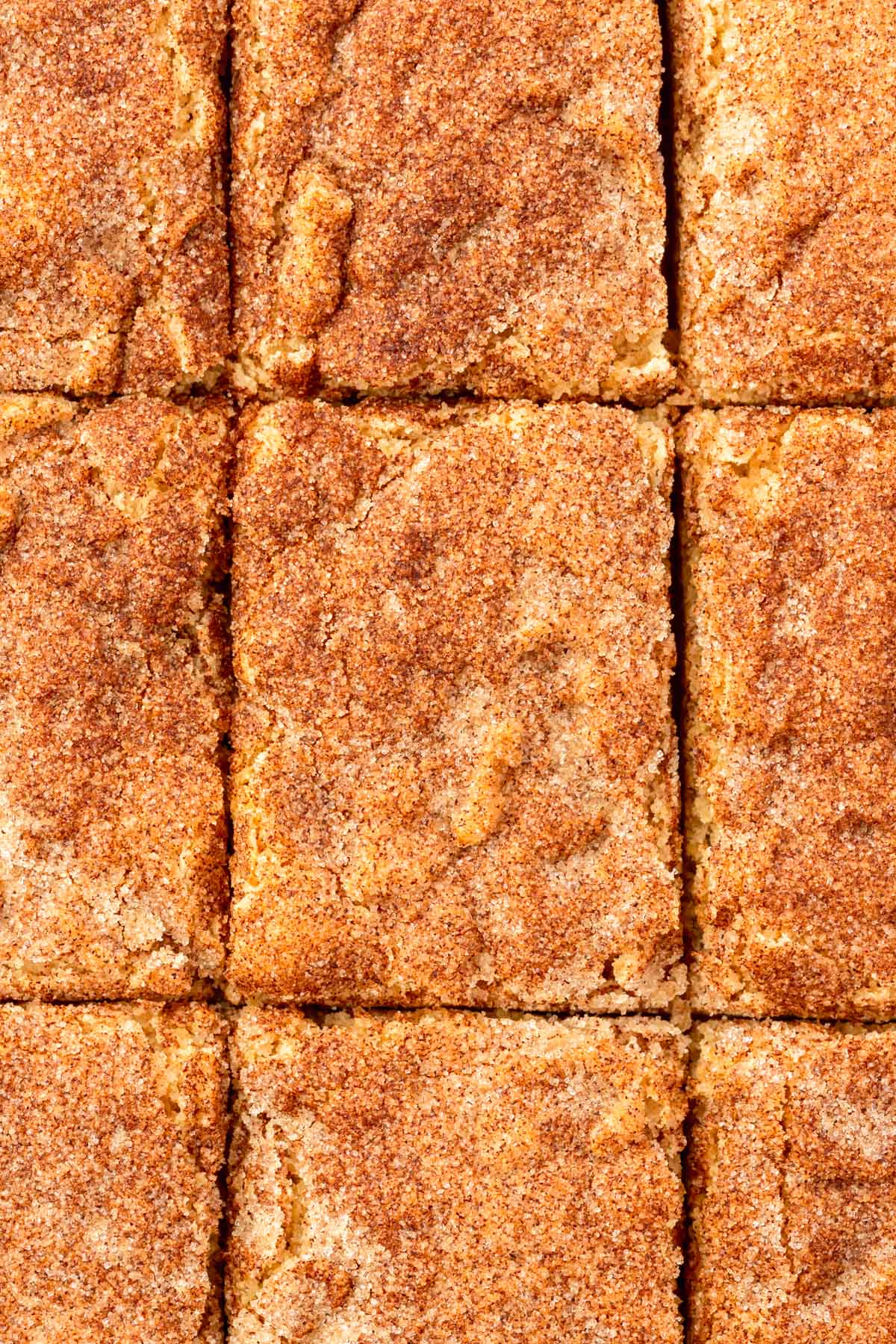 A close up of snickerdoodle bars that have been sliced into 9 equal pieces.
