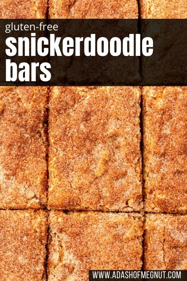 A close up of snickerdoodle blondies that have been sliced into 9 equal pieces with a text overlay.