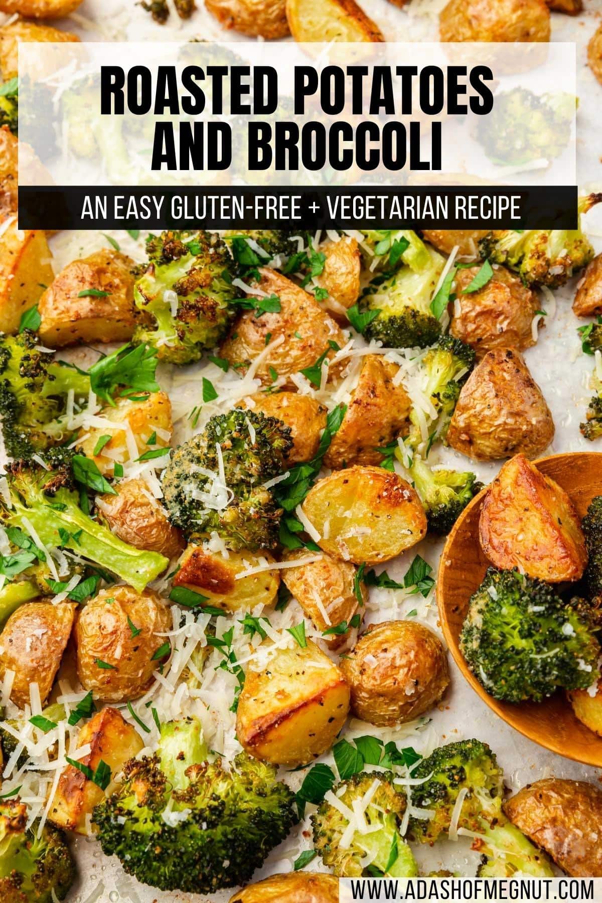 A closeup of roasted broccoli and potatoes on a sheet pan topped with shredded parmesan cheese and chopped parsley with a text overlay over the image.