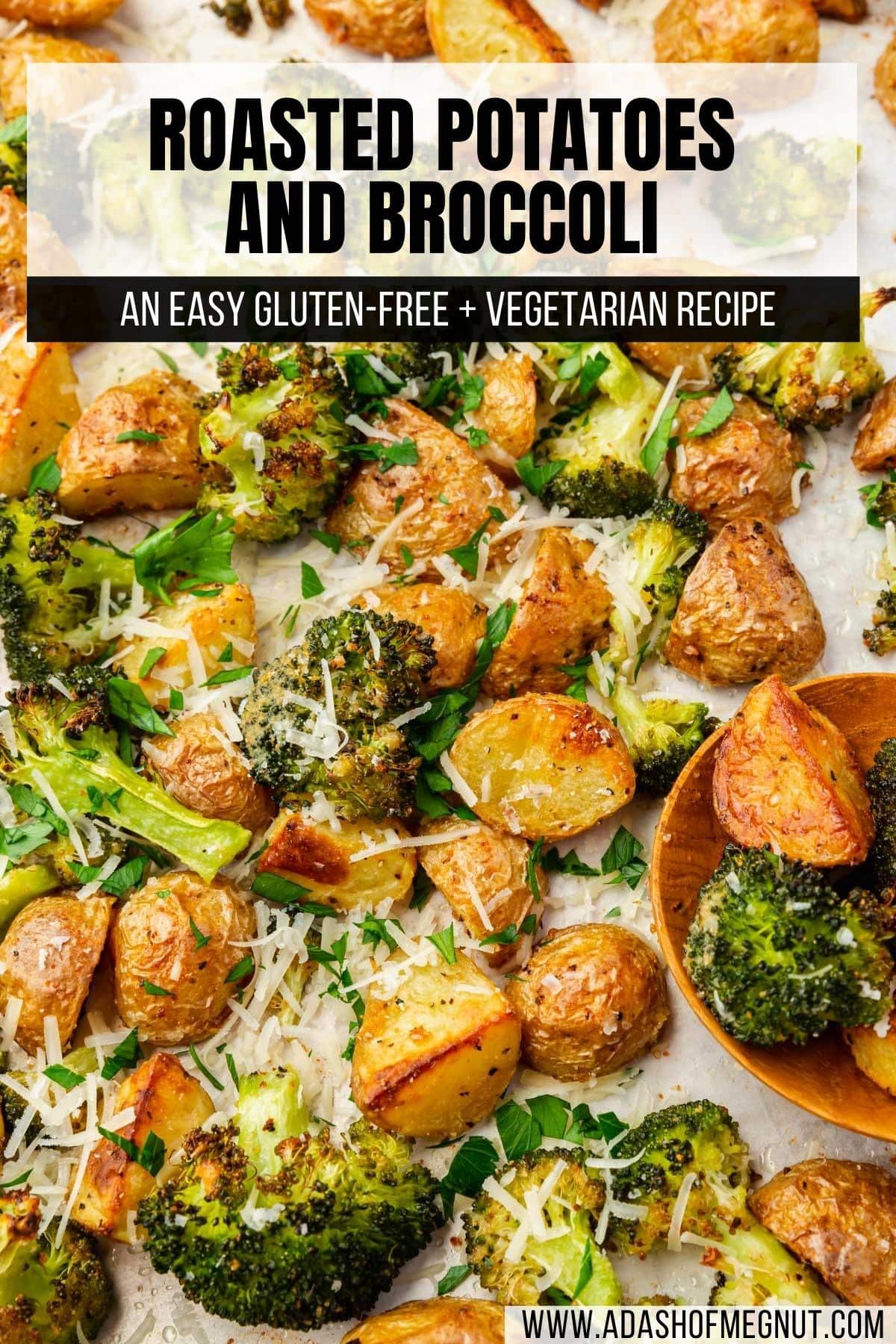 A closeup of roasted broccoli and potatoes on a sheet pan topped with shredded parmesan cheese and chopped parsley with a text overlay over the image.