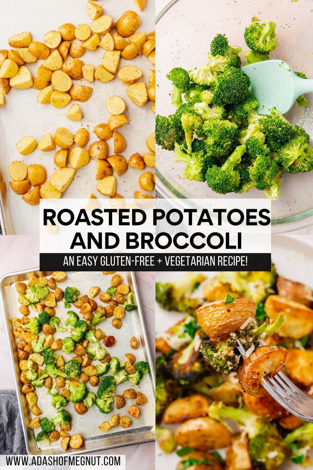 A four photo collage showing the process of making roasted broccoli and potatoes. Photo 1: Baby yukon gold potatoes sliced in half on a sheet pan. Photo 2: Broccoli florets in a glass bowl mixed with oil and spices. Photo 3: Broccoli and baby potatoes on a sheet pan tossed with oil and spices. Photo 4: A fork holding a few pieces of roasted potatoes and broccoli over a bowl of more roasted vegetables.