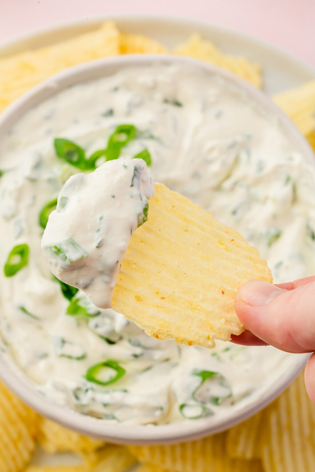 Green Onion Dip A Dash of Megnut